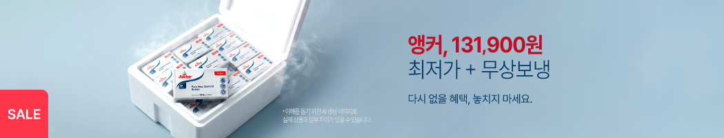 앵커버터 초특가